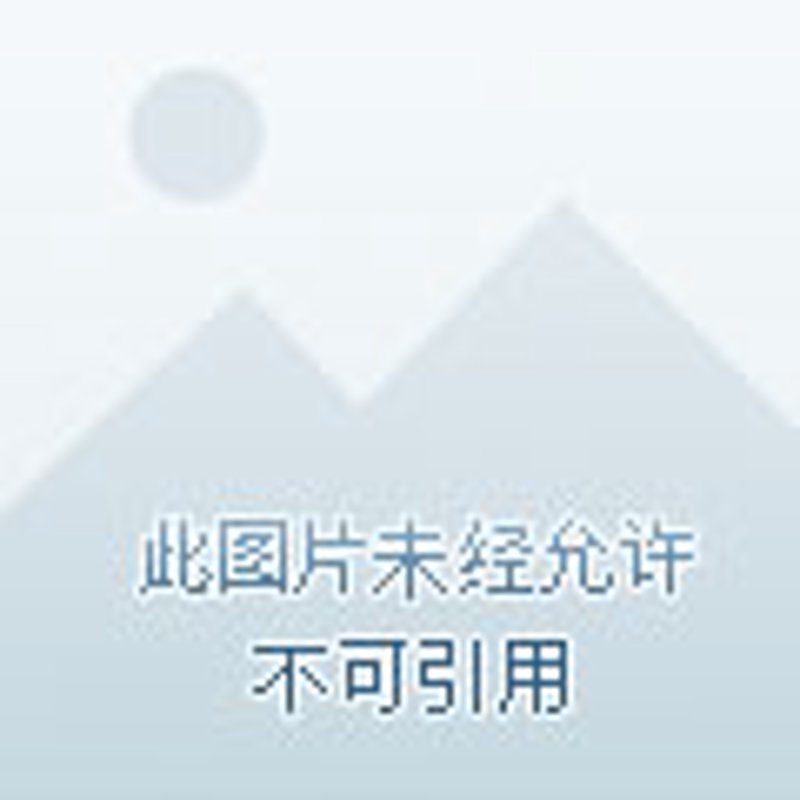 成都商贸公司的新机遇与挑战：行业洞察